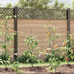 Supports de plantes en spirale vidaXL 50 Pièces 110 cm Acier
