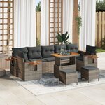 Ensemble de Canapés de Jardin de 10 Pièces avec Coussins en Rotin Poly Gris Acacia