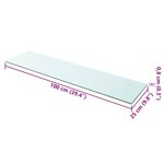 vidaXL Panneaux d'étagère 2 Pièces Verre Transparent 100 x 25 cm