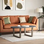 vidaXL Pieds de table basse en forme de V  2 pièces  acier naturel  70 x (42-43 3) cm