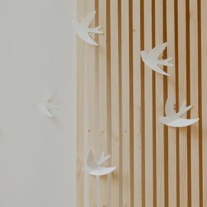 Hirondelles murales - Blanc