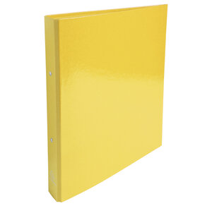 Classeur a4 2 anneaux 30mm iderama - jaune - x 10 - exacompta