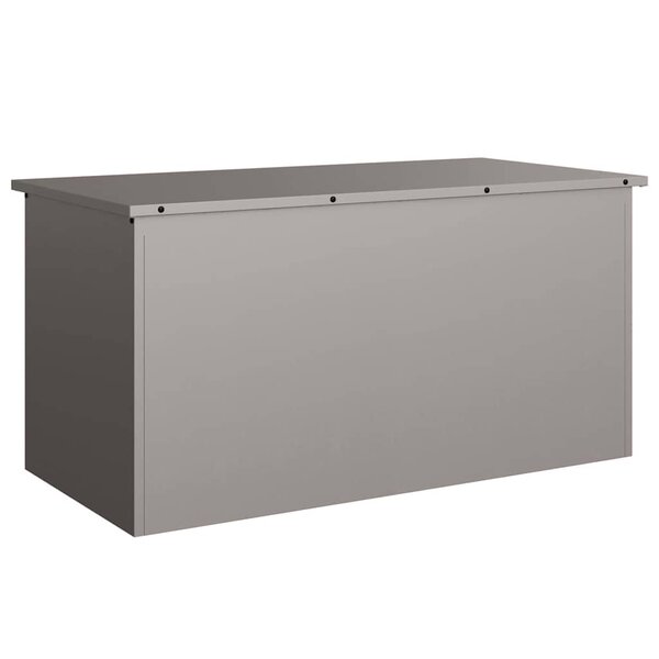 vidaXL Boîte de Rangement Extérieure Rouillé 100 x 50 5 x 50 cm Acier