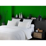 Oreiller anti-acariens 50 x 70 cm - 100  Polyester
