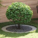 vidaXL Bac Galvanisé Galvanisé Métal Galvanisé Grand Durable