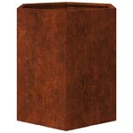 vidaXL Jardinières 2 Pièces hexagone 46x40x45 cm acier patinable
