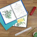 ACROPAQ Display Book - Classeur Premium Bleu au Format A4 avec 30 Pochettes  Design Extensible et Insertion en Couleur au Format A5