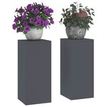 vidaXL Support de Plante 2 Pièces Anthracite 24 x 24 x 55 cm Acier