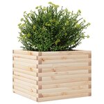 vidaXL Jardinière 60x60x45 5 cm bois de pin massif