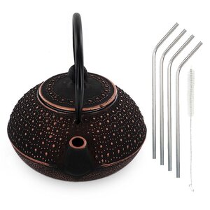 Théière en fonte Sui 0 8 L + 4 pailles en inox