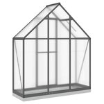 vidaXL Serre avec cadre de base anthracite 169x58x202 cm aluminium
