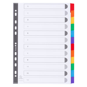 Intercalaire a4 carte160 g exacompta 12 onglets neutres réinscriptibles multicolores - 1 jeu