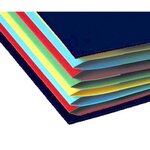 Trieur rigide Ordonator dos extensible 12 compartiments Noir x 6 EXACOMPTA