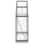 vidaXL Serre avec cadre de base anthracite 169x58x202 cm aluminium