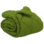 vidaXL Duvet d'hiver Vert 220 x 200 cm Microfibre