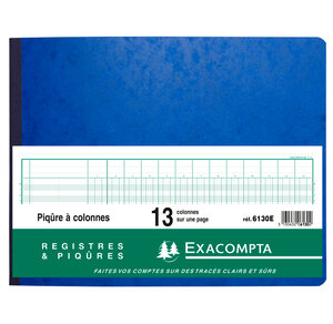 Piqûre 25x32cm 13 colonnes sur 1 page 31 lignes 80 pages EXACOMPTA