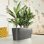 LECHUZA Jardinière de table Delta20 ALL-IN-ONE Fusain métallique 15563