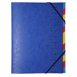 Trieur agrafé avec élastiques 12 compartiments - Couleurs Aléatoires x 8 EXACOMPTA