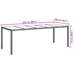 vidaXL Table de jardin pour repas Noir pur 250 x 100 x 75 cm