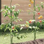 vidaXL Tuteurs spirales pour plantes 20 Pièces Vert 110 cm