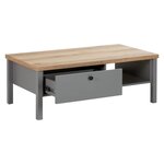 Table Basse de Bois 110x60 cm grise