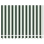 vidaXL Auvent Rétractable Manuel avec LED Vert et Blanc 350x250 cm