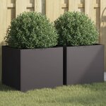 vidaXL Jardinières 2 Pièces noir 42x40x39 cm acier