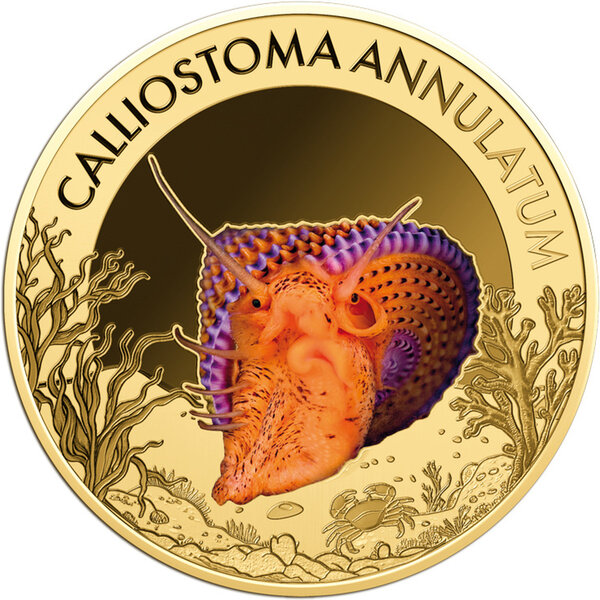 Monnaie VIOLET-BANDED TOP SNAIL Sea Creatures 1/1000 Oz Or 3000 Francs Chad (PRÉCOMMANDE)
