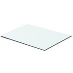 vidaXL Panneau pour étagère Verre transparent 40 x 25 cm