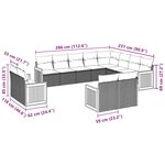 vidaXL Salon de jardin 12 Pièces avec coussins noir résine tressée