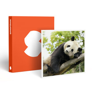 SMARTBOX - Coffret Cadeau ZooParc de Beauval 2027 : entrée 1 adulte (1 journée) -  Multi-thèmes