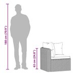 vidaXL Canapés de jardin 2 Pièces avec coussins Résine tressée Noir