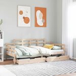 vidaXL Lit de jour avec tiroirs sans matelas 90x200 cm bois massif