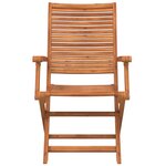 vidaXL Chaises pliantes de jardin avec accoudoir lot de 2