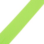 vidaXL Sangle 10 Pièces 0 25 tonne 5 m x 25 mm Vert fluorescent