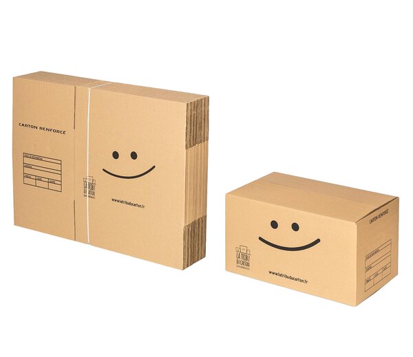Pack 20 cartons spécial stockage