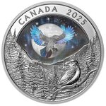 Pièce de monnaie en Argent 20 Dollars g 31.39 Millésime 2025 RAVEN