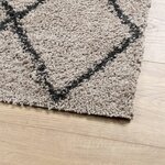 vidaXL Tapis shaggy à poils longs moderne beige anthracite 80x150 cm