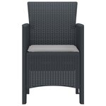 vidaXL Chaises de Jardin avec Coussins 2 Pièces Anthracite