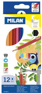 Crayons de couleur hexagonaux 12 pièces