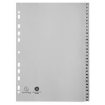 Intercalaires Imprimés Numériques Pp Recyclé Gris - 31 Positions - A4 - Gris - Exacompta