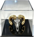Monnaie SOVEREIGN Carved Skull 2 Oz Argent 2000 Francs Cameroon 2026 (PRÉCOMMANDE)