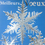 Carte Meilleurs Vœux avec Enveloppe Blanche 15x15cm