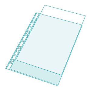 Sachet 20 pochettes perforées pour EXACTIVE x 5 EXACOMPTA