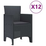 vidaXL Ensemble de salle à manger pour jardin 13 Pièces Anthracite