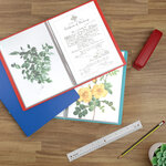 ACROPAQ Display Book - Classeur d'Affichage à Grande Capacité en Rouge au Format A4 avec 40 Pochettes - En Polypropylène Résistant