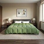 vidaXL Duvet complet toute l'année Vert 200 x 240 cm Microfibre