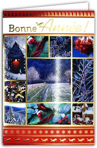 Lot 10 cartes identiques bonne année meilleurs vœux avec 10 enveloppes blanches