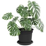 vidaXL Plateau à fleurs rond 6 Pièces Noir Ø 14 x 2 cm Plastique