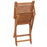 vidaXL Chaises pliantes de jardin avec accoudoir lot de 2